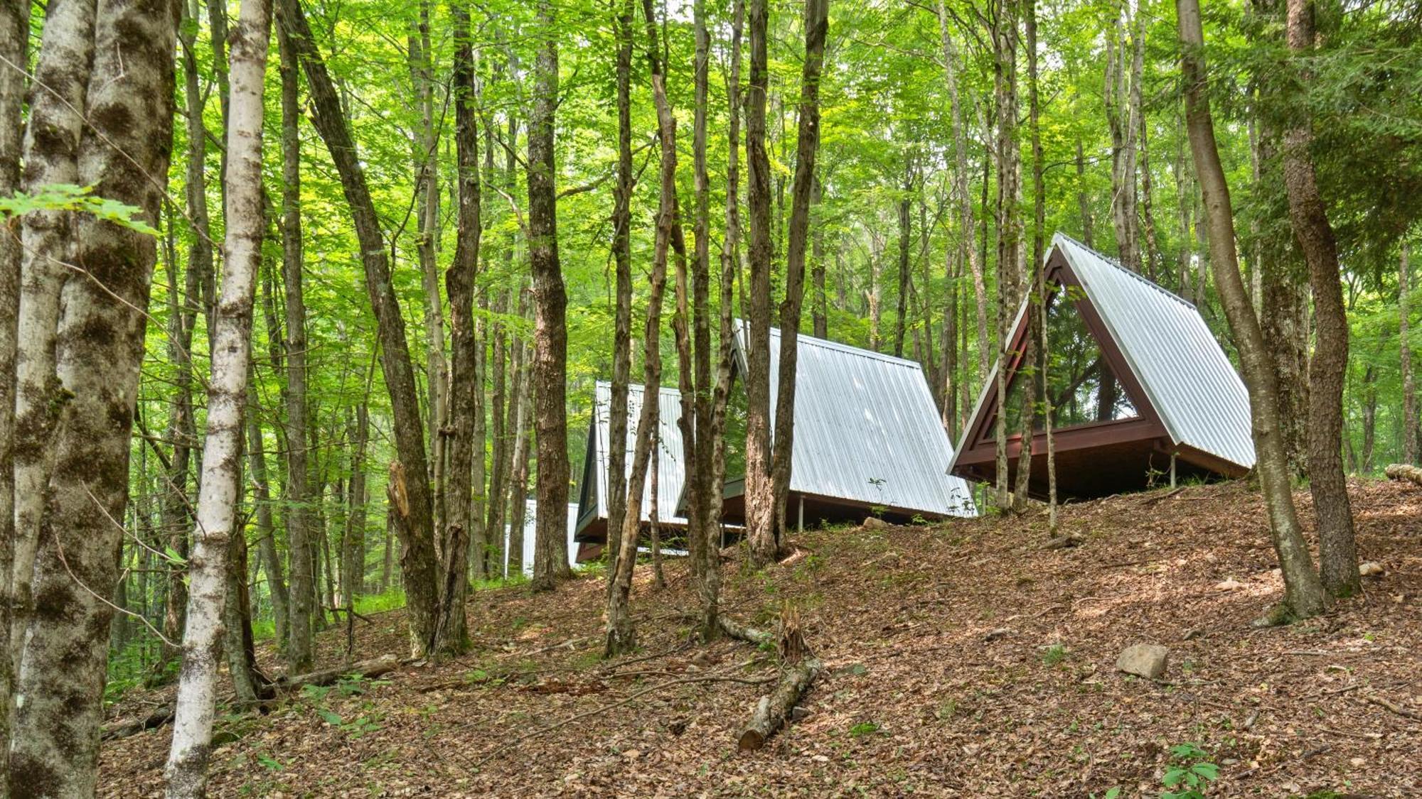 Callicoon Hills Callicoon Center エクステリア 写真